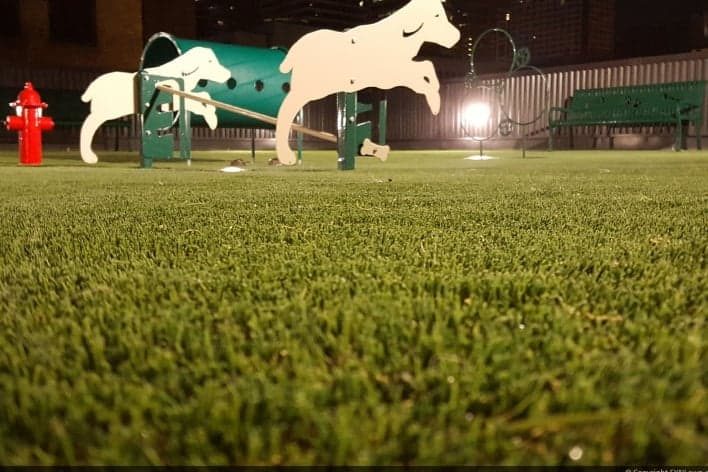 pet turf in Louisville, KY