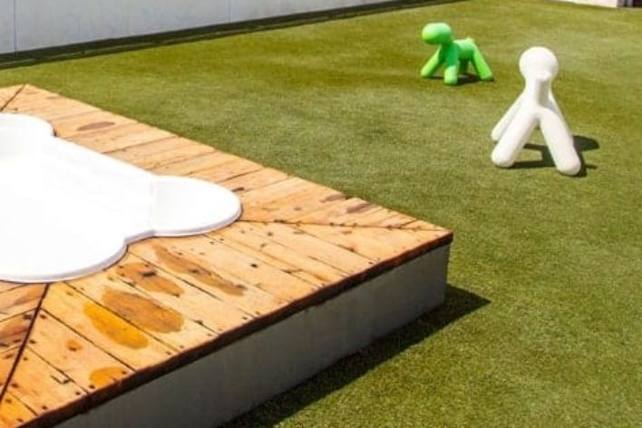 pet turf installation in Louisville, KY
