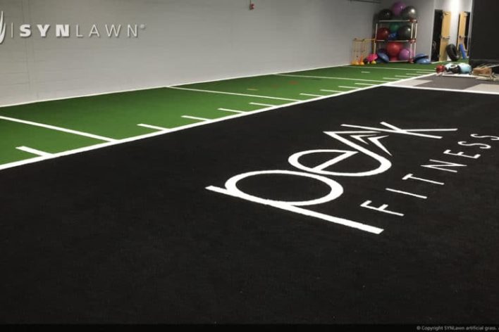 SynLawn Agility and Track Artificial grass in Louisville, KY