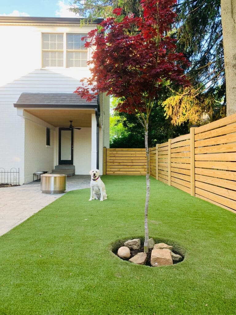 Dog sitting on artificial grass in residential backyard