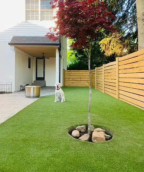 Dog relaxing on artificial grass installed by SYNLawn in Louisville, KY