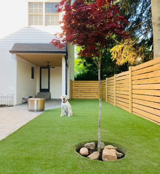 Dog sitting on artificial grass in residential backyard